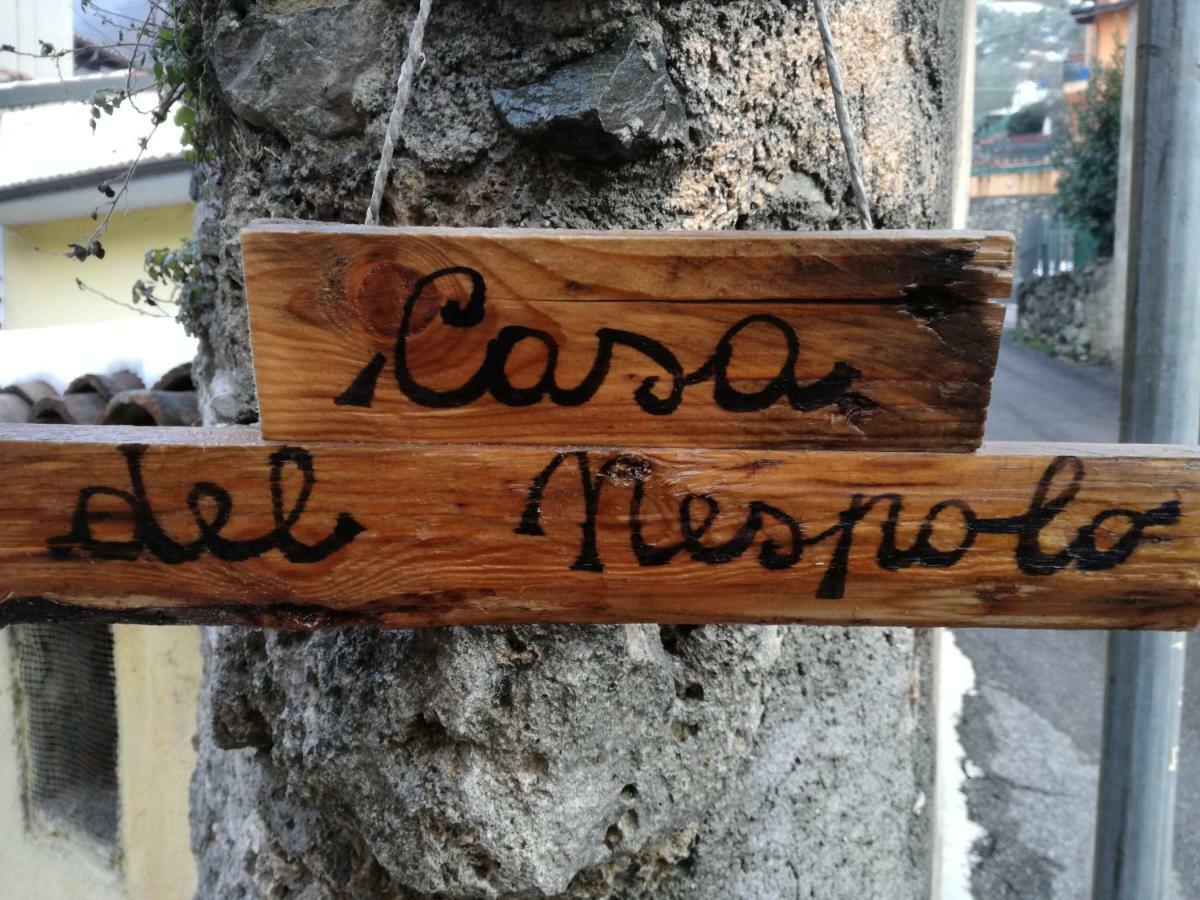 Casa Del Nespolo Bed and Breakfast Pilzone Eksteriør billede